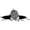 funny mole