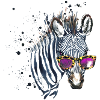 Animal Planet Zebra With Sunglasses