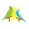 deux perruches vertes et bleues