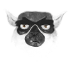 Grumpy unhappy lemur face