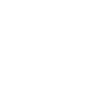 smartphone