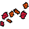 Autumn maple leaves