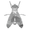 Fly