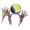 volleyball