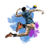 volleyball
