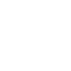 birds aren't real