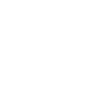 Raccoon - raccoon