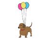 Dackel mit Luftballons