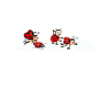 BEETLE ROAD