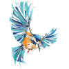 Eisvogel