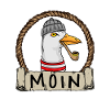 Moin Moin Möwe