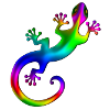 Gecko, Eidechse, Salamander, rainbow, Regenbogen