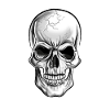 Skull, Skull, Skull, Skull