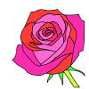Wonderful fantastic rose