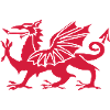 Welsh Dragon