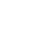 Alman Shirt deutsche Staatsbürgerschaft Geschenk
