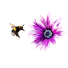 Bumblebee and flower