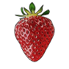 strawberry
