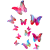 Moth, butterfly, butterfly, swarm, flying