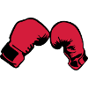 gant boxe boxeur 2503