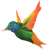 EXOTIC BIRD - MINIMALIST