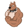 Body Building Chien Gym Taureau