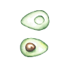 avocado