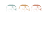 Retro pig brush pig boar
