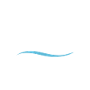 sailing