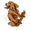Skateboarding Golden Retriever - Dog Skateboarder