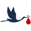 Stork Bring Baby
