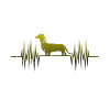 Dachshund heartbeat