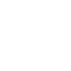 Big Brother