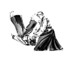 aikido