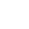 Rosenblüte mit Sternen