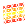 Der Kickboxer