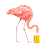 Flamingo beer funny
