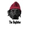 Le Labrador Dogfather