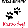 rescuedog