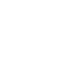 VeniVidiVici