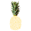 The bicycle pineapple!