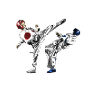 taekwondo