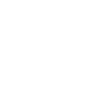 Diver
