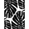 Monstera