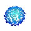 Peony blue
