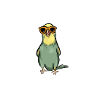 Funky Budgie
