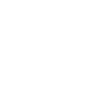 Ocean Turtle