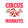 Circus Monkeys