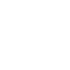 INSPECTOR