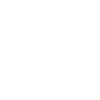 Ceo Description